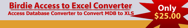 Access Database Converter - MDB to XLS Conversion Tool