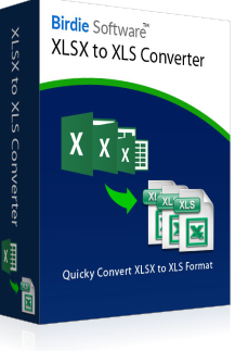 XLSX to XLS Box